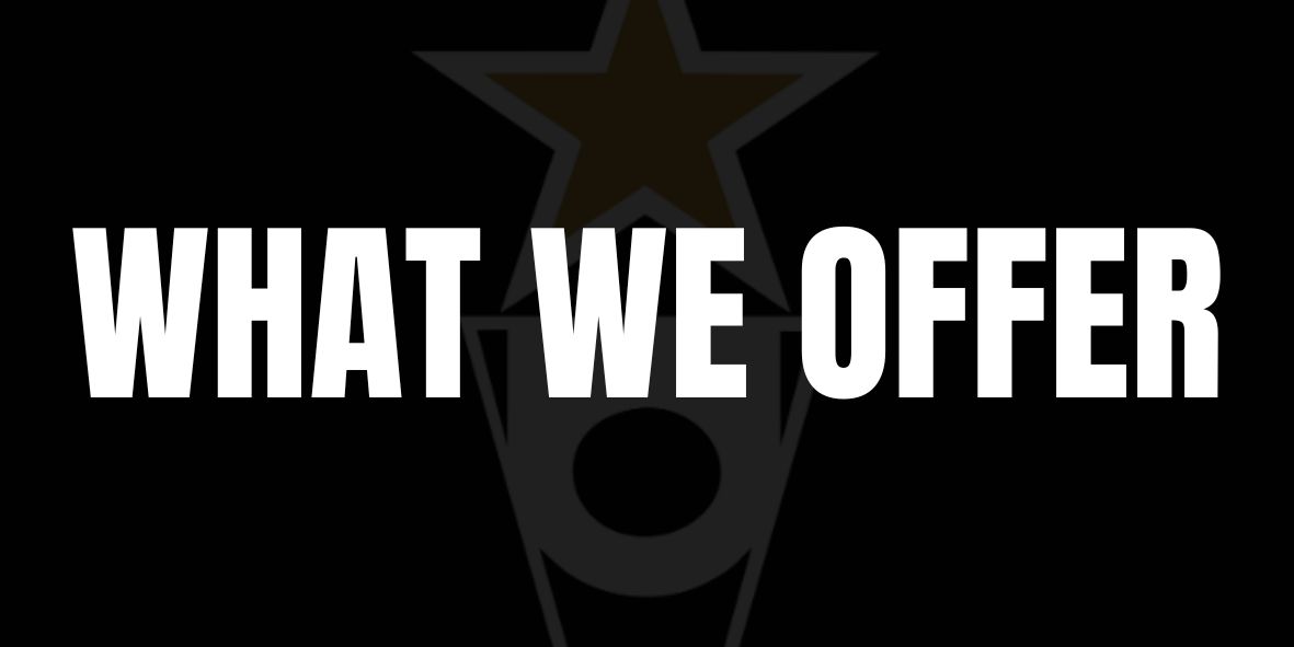 T what we offer